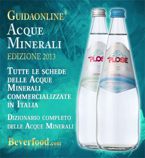 GuidaOnLine Acque Minerali Beverfood