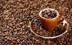 Tazzina Chicchi caff�