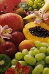  Immagine frutta varia 