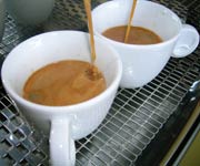 Tazzine caff� espresso 