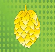 Immagine grafica luppolo stilizzato ricerca birra Barth Report