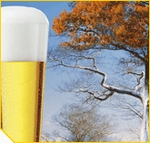 IL MERCATO DELLA BIRRA IN AUSTRIA CHIUDE IL 2008 IN CRESCITA E BRAU UNION CONSOLIDA LA SUA LEADERSHIP