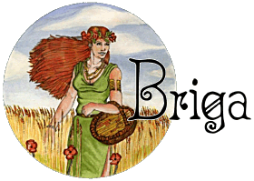 Logo Immagine Celtica Birra Briga Microbirrificio Omnia Gallia