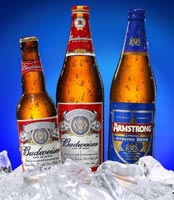 Bottiglie Birre Budweiser e amstrong India