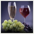 INDAGINE MEDIOBANCA 2009: FOCUS SULLE PRINCIPALI SOCIETA� VINICOLE IN ITALIA 