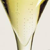 champagne bollicine bicchiere