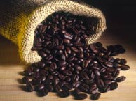 Chicchi caffè tostato sacco juta