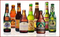 Birre Gruppo DIBEVIT