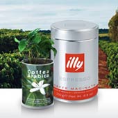 illycaff� Arabica 100% 