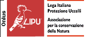 Logo Lipu