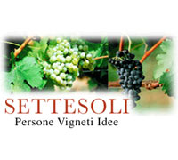  logo Settesoli Miglior cantina eletta dal Almancco berebene 2009 