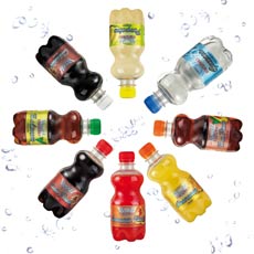 Set Bottiglie Pet 0,33 litri Bibite Paradiso