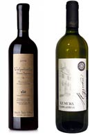Bottiglie Vini Valpolicella Garganega COLLIS VENETO WINE GROUP