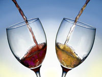 vino