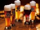 Bicchieri Birra