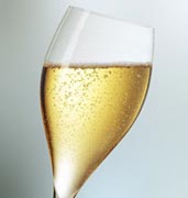 Calice Prosecco