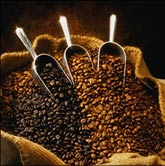 Sacco chicchi caff� 