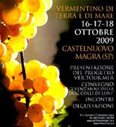 Bottuglia Tullum Nuova Doc di Tollo Abruzzo Vino Abruzzese