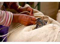 Sacco caff� iniziativa nespresso  ECOLABORATION� 