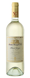 IL PINOT GRIGIO PROTAGONISTA A VINITALY 2011 CON UN CONVEGNO E UNA DEGUSTAZIONE