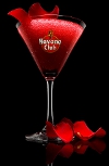 bicchiere_havana