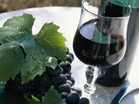vini-abruzzesi