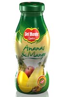 SIREA, LO SPECIALISTA DELL'HORECA, PRESENTA LA GAMMA SUCCHI DEL MONTE 2010
