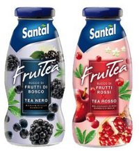 Santal fruitea 250ml frutti rossi e frutti di bosco mirtillo T� freddo