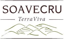 NASCE 'SOAVECRU', L'ASSOCIAZIONE DI 20 PICCOLE CANTINE PER IL RILANCIO DEL SOAVE
