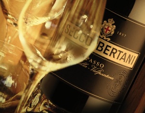 IL GRUPPO ANGELINI ACQUISISCE LA MAGGIORANZA DELL�AZIENDA VITIVINICOLA BERTANI