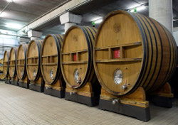 NOSIO, DEL GRUPPO MEZZACORONA, CHIUDE IL BILANCIO 2011 CON UN FATTURATO DI � 99 M.NI E PUNTA ALLA QUOTAZIONE IN BORSA