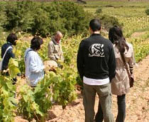 Enoturismo Turismo vinicolo vigne visite