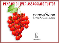SENSOFWINE 2012: pubblicità cartellone pensavi di aver assaggiato tutto