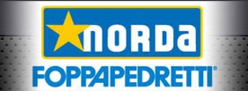 NORDA FOPPAPEDRETTI Logo Pallavolo