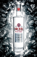 orzel