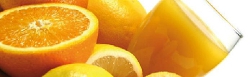 TMCI PADOVAN, AVANGUARDIA E KNOW-HOW PER IL MONDO DEL FOOD & BEVERAGE