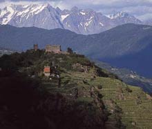 Castel Grumello Vino Montagna in Valtellina Sondrio