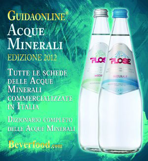 guida-acque2012